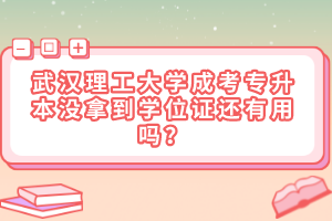 武汉理工大学成考专升本没拿到学位证还有用吗？